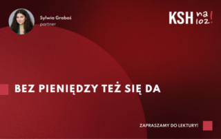 Wkłady niepieniężne mogą obejmować prawa rzeczowe, obligacyjne, majątkowe lub przedsiębiorstwa. Muszą być zbywalne i mieć realną wartość, podlegając odpowiedzialności za wady.